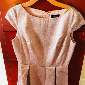 Adrianna Papell Shiny Pink Bubble Skirt Dress